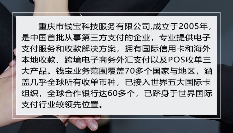 广东钱宝科技有限公司简介